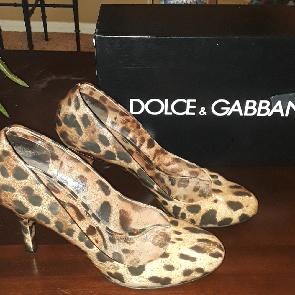 ♥Women's Shoes Dolce & Gabbana Leopard Print Patent Leather Caramel.   MARKDOWN✨ - Picture 2 of 7